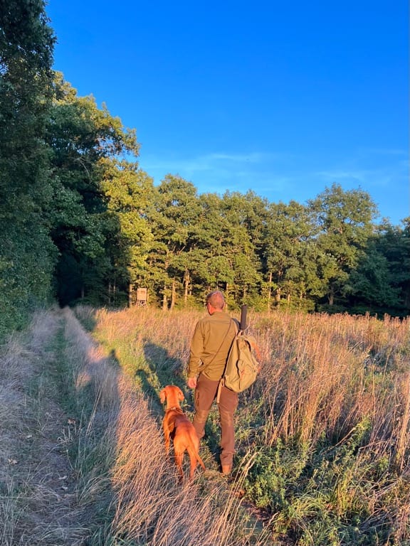Magyar Vizsla – Naturmoment
