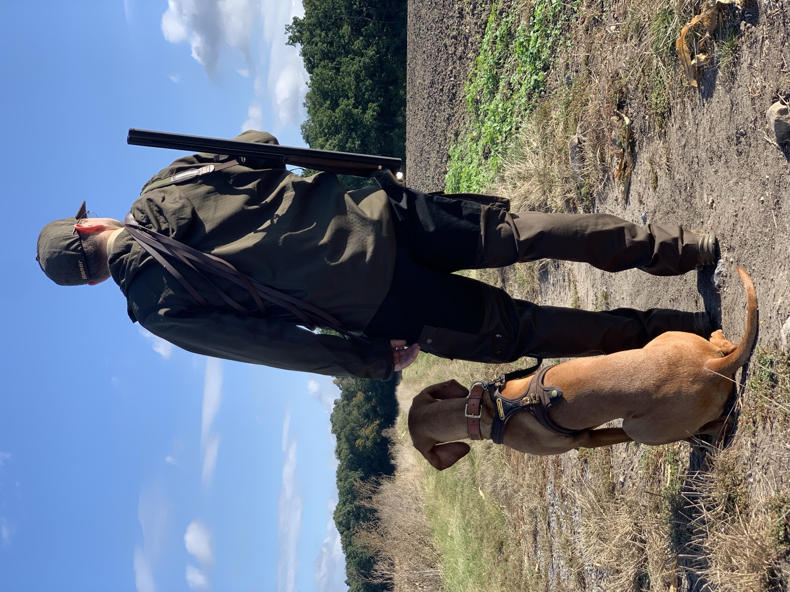 Jäger mit Magyar Vizsla auf der Jagd