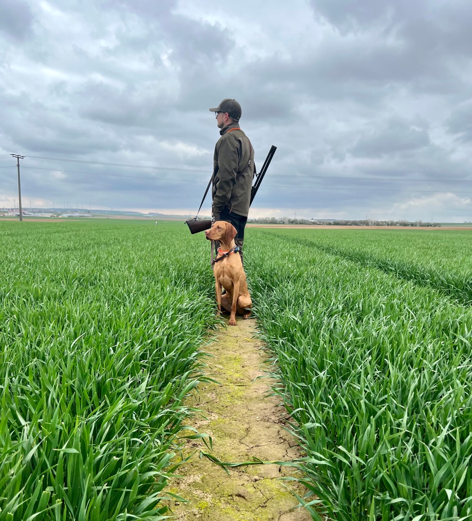 Jäger und Vizsla auf dem Feld