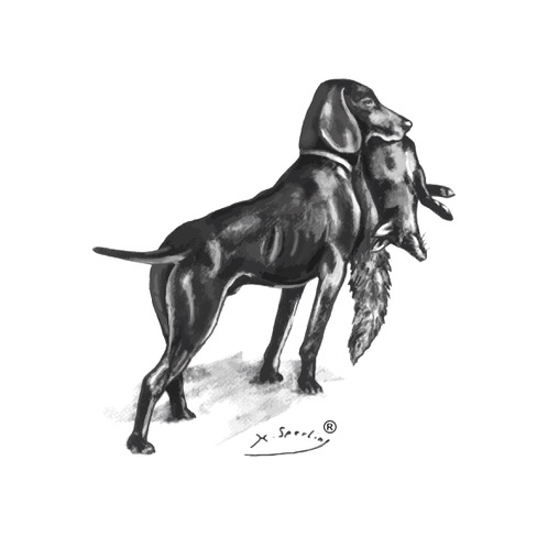 JGHV Logo
