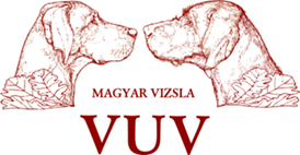 VuV Logo