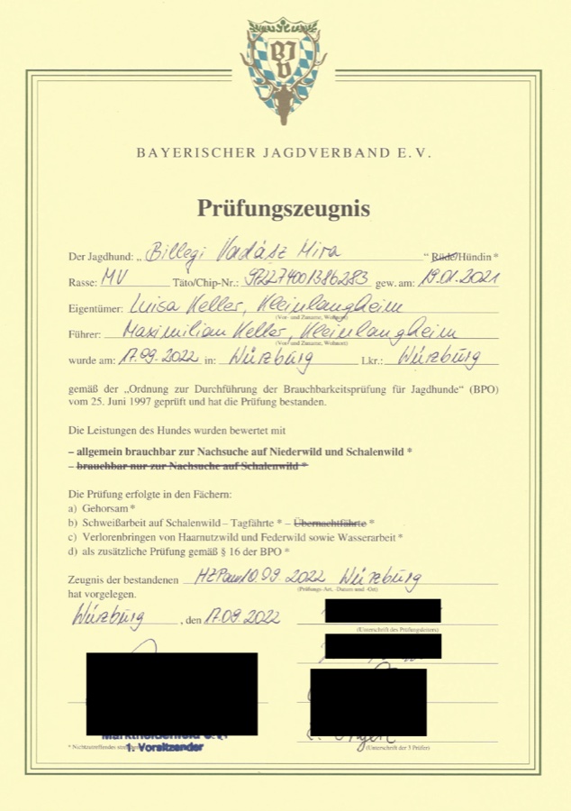 BP – Bringtreueprüfung Urkunde
