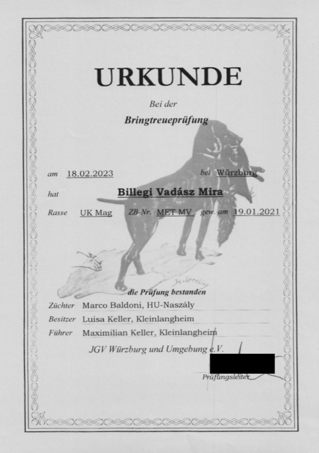 BTR – Bringtreueprüfung Urkunde
