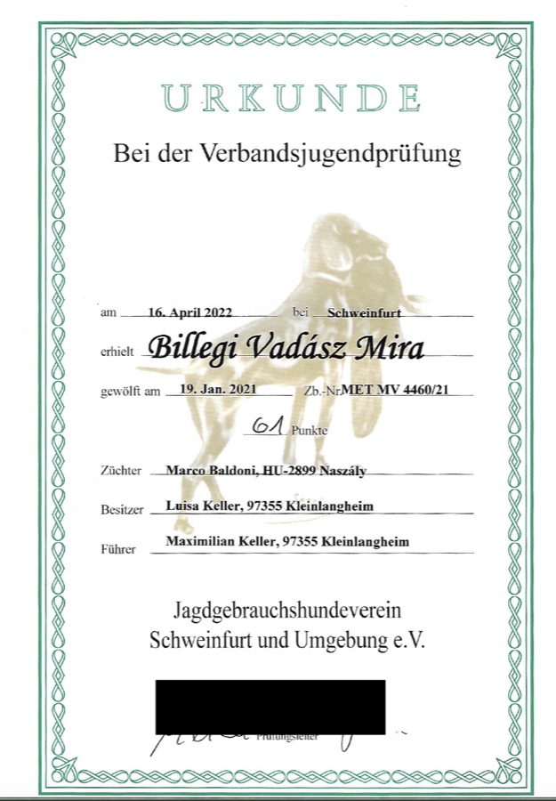 VJP – Verbandsjugendprüfung Urkunde
