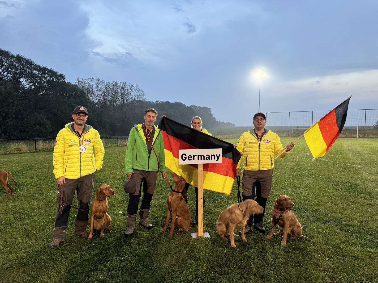 Magyar Vizsla bei der Jagd